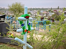 Смертность и рождаемость снизились в Волгоградской области