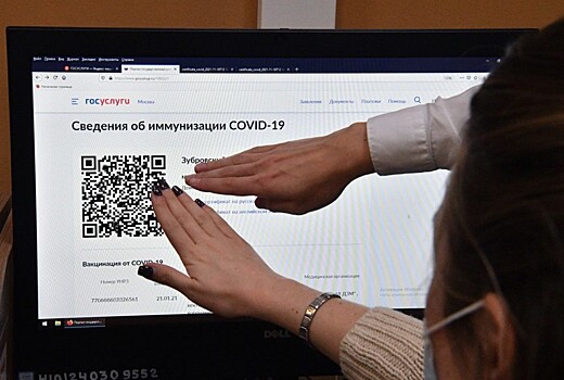 Политолог сравнил QR-коды с пенсионной реформой