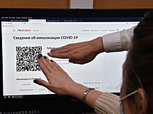 Политолог сравнил QR-коды с пенсионной реформой