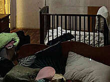 В Петербурге мать задушила свою четырехмесячную дочь и спрятала тело в диван