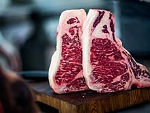 В Санкт-Петербурге пройдет главный BBQ-фестиваль страны