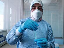 Россия отправит в Турцию экспертов для оценки эпидситуации