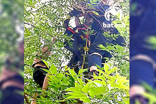 Спасатели помогли 13-летней девочке спуститься с дерева в Уфе