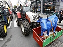 В Литве фермеры привели в Вильнюс колонну тракторов