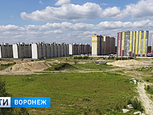 «Нас не слышат». В Воронеже жителей нового ЖК оставили без обещанной школы