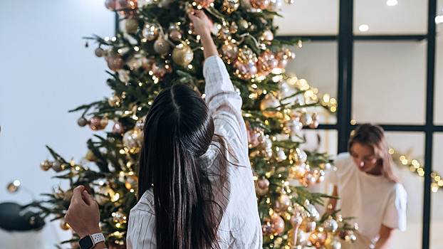 Россиян предупредили о штрафах за новогодние украшения