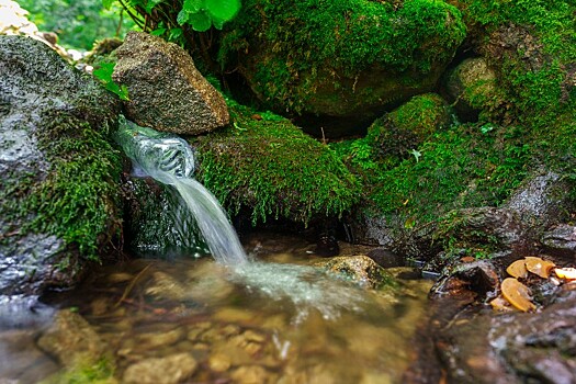Причиной стал родник: Власти объяснили, почему остановили строительство школы в Новороссийске