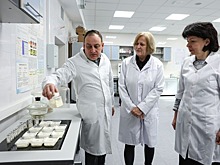 В СКФУ разработали микрокапсулы для индустрии здорового питания