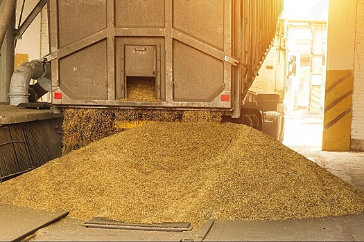В России вновь незначительно выросли закупки зерна в госфонд