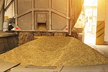 В российский интервенционный фонд закупили 8,64 тысячи тонн зерна
