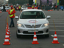 В Общественной палате предложили разделить водителей на любителей и профессионалов
