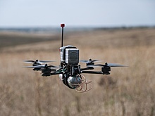 ФСИН может начать использовать "паучьи" сети для защиты от украинских дронов