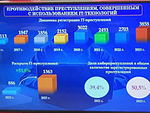 В ЯНАО уловкам мошенников подвержены образованные жители среднего возраста