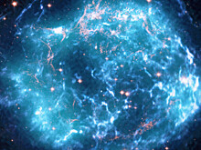 Девам нужно рисковать, а Ракам не стоит рассчитывать на помощь окружающих: гороскоп на вторник, 10 октября