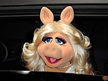 Кино про Мисс Пигги и спектакль про Коперника — хорошие новости недели