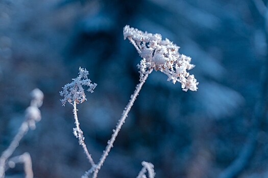 Крещенские морозы с пронизывающим ветром надвигаются на Кубань