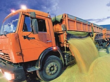 Чем интересен сибирским аграриям опыт Казахстана