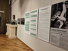 В Таганроге открылась выставка, посвященная более чем 100-летней истории постановок пьесы Антона Чехова &laquo;Чайка&raquo;