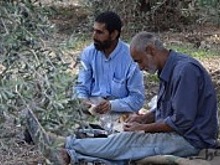 Итальянские социологи рассказали о стремительном падении рождаемости в стране