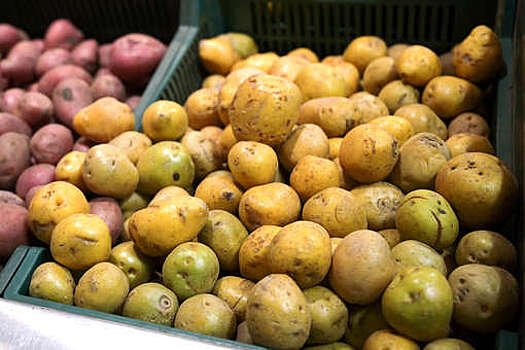 Экономист Лебединская заявила о возможном росте цен на картофель и капусту