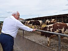 Продовольственный кризис россиянам не грозит