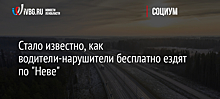 Стало известно, как водители-нарушители бесплатно ездят по "Неве"