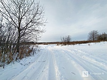 Семья, идущая пешком через всю Россию, остановилась в Нижегородской области