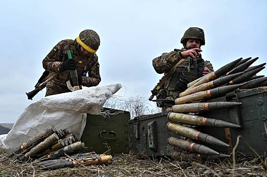 На Украине оценили срок начала производства снарядов вместе с США