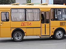 В Тобольске мужчина подделал права, чтобы водить школьный автобус