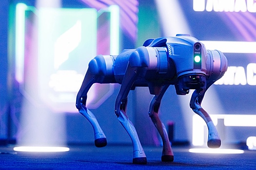 Роботы-собаки замечены на площадке Всемирного фестиваля молодежи