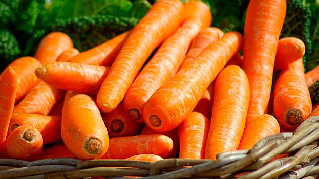 Ученые Гарвардского университета рассказали о пользе моркови для сохранения зрения
