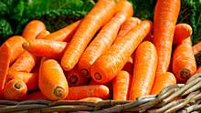 Ученые Гарвардского университета рассказали о пользе моркови для сохранения зрения