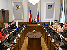 Деньги нужно расходовать эффективно: донские законодатели обсудили систему внешнего финансового контроля