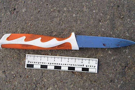 В Петербурге женщина пыталась спрятаться от полиции в диване