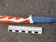 В Петербурге женщина пыталась спрятаться от полиции в диване