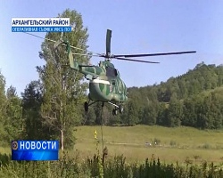 Группа террористов-подрывников скрывалась в лесу Архангельского района