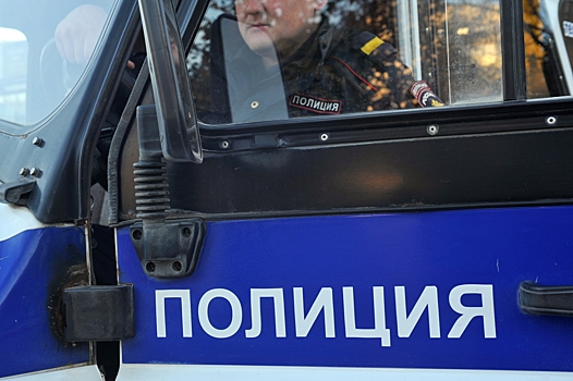 Москвич напал на свою родственницу с топором