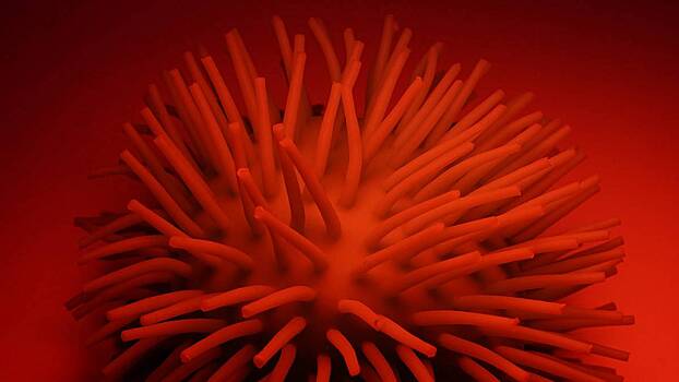 Ученые рассказали про новую разновидность коронавируса