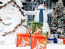 Собянин рассказал о поддержке семей участников СВО накануне Нового года