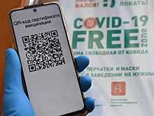 В оперштабе Воронежской области объяснили необходимость введения QR-кодов