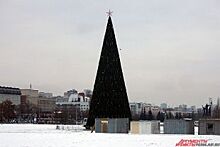В Перми выбрали школьников, которые 14 декабря зажгут огни на главной ёлке