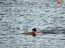 В Перми собака помогла спасти тонущего в Каме хозяина