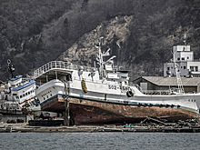 Японцев предупредили о возможных цунами с волнами до трех метров
