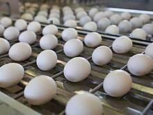 Уменьшение упаковок с продуктами сочли обманом россиян