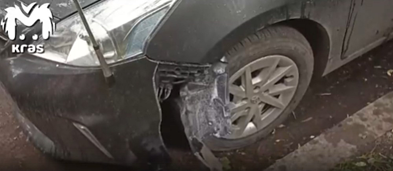 На правобережье Красноярска стая собак испортила семь автомобилей