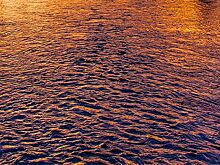 Минприроды подтвердило наличие масляного пятна в Дону в Ростове