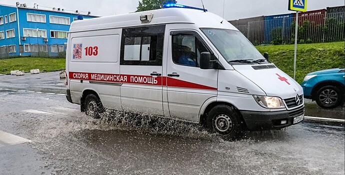 Дерево упало на двух женщин в Москве