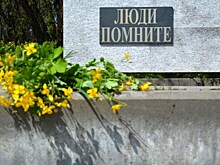 Воронежский историк предлагает поделиться воспоминаниями предков о Великой Отечественной войне