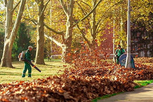 Мокрый снег в горах и дожди на курортах Кубани: погода на 11 октября