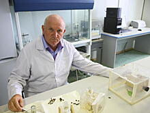 Заведующий лабораторией болезней пчел объяснил причины их массовой гибели